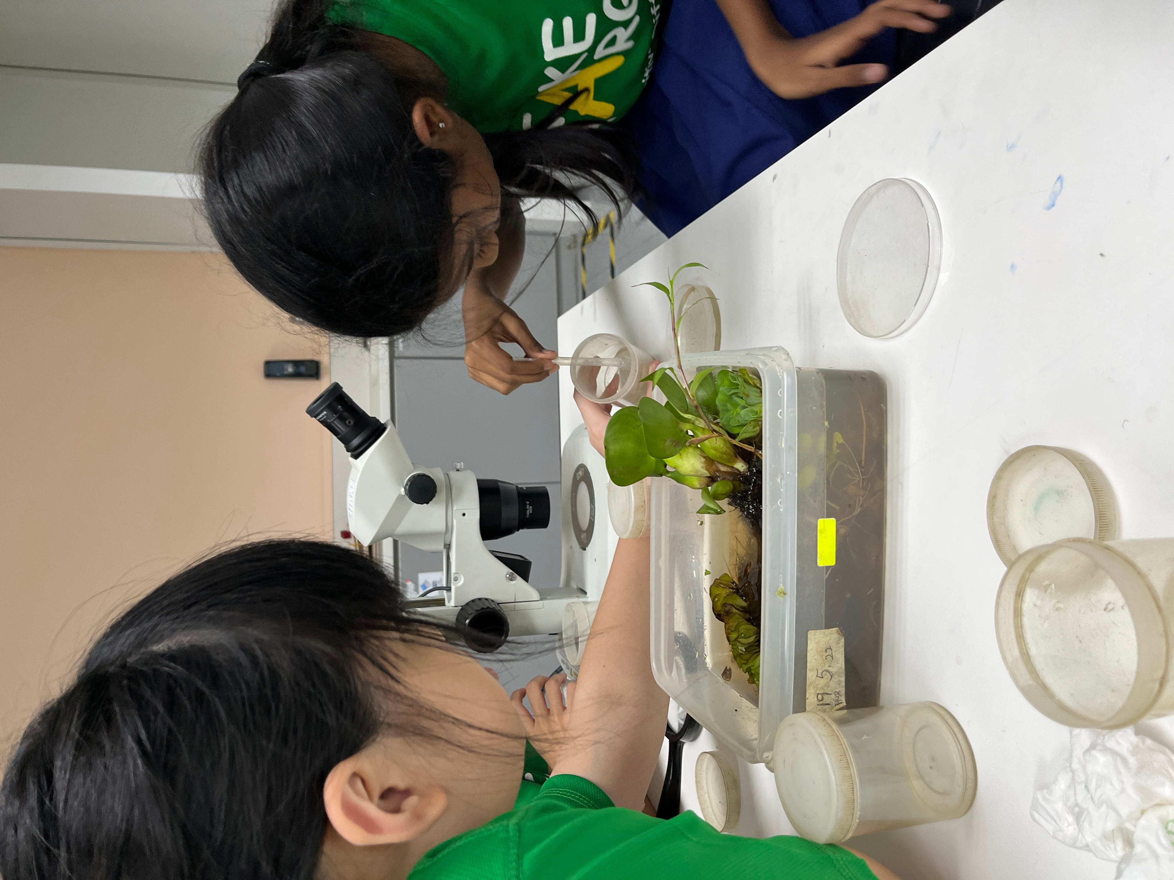 Two students in the midst of transferring the organisms onto a petri dish